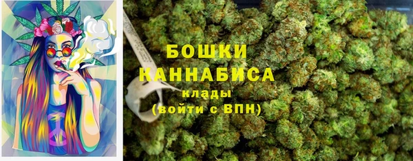 ПСИЛОЦИБИНОВЫЕ ГРИБЫ Армянск