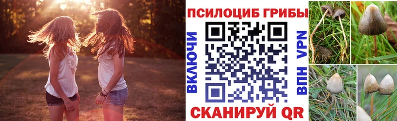 маркетплейс клад Абаза Галлюциногенные грибы Magic Shrooms наркота